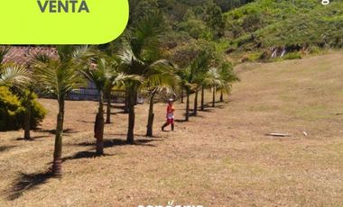 Finca en Venta San Vicente de Ferrer