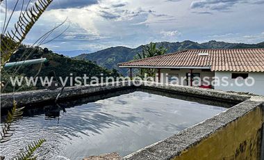 Venta Finca en la Vereda Varsovia, Filadelfia, Caldas