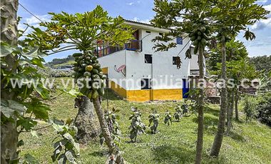 Venta Finca en la Vereda Varsovia, Filadelfia, Caldas