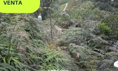 Lote en venta- san Vicente