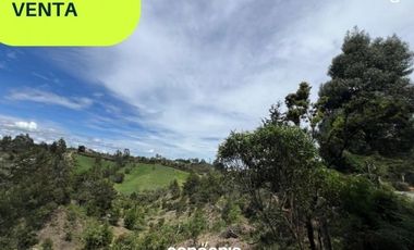 Lote en venta- san Vicente