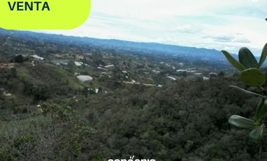 Lote en venta- san Vicente