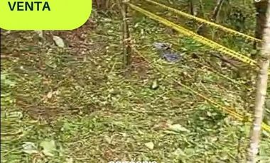 Lote en venta- san Vicente