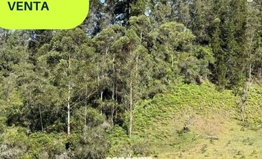 Lote en venta- san Vicente