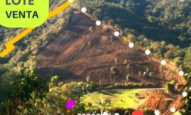 Lote en venta- san Vicente