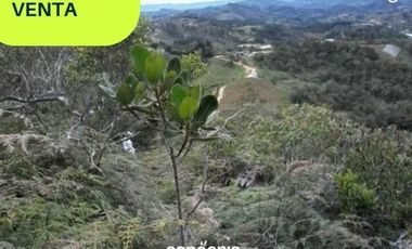 Lote en venta- san Vicente