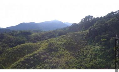 Venta de finca de 16 hectáreas en Minca-Vía Pozo Azul