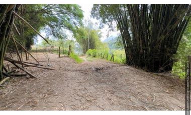 Venta de finca de 16 hectáreas en Minca-Vía Pozo Azul