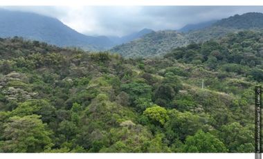 Venta de finca de 16 hectáreas en Minca-Vía Pozo Azul