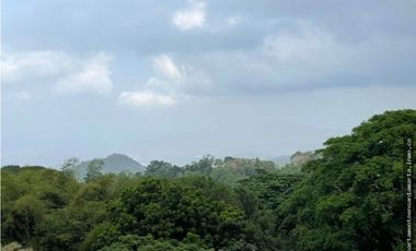 Venta de finca de 16 hectáreas en Minca-Vía Pozo Azul