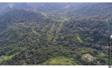 Venta de finca de 16 hectáreas en Minca-Vía Pozo Azul