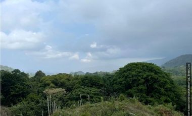 Venta de finca de 16 hectáreas en Minca-Vía Pozo Azul