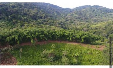 Venta de finca de 16 hectáreas en Minca-Vía Pozo Azul