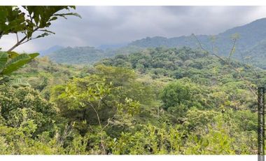 Venta de finca de 16 hectáreas en Minca-Vía Pozo Azul