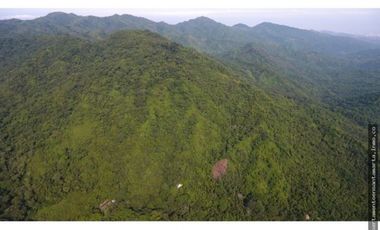 Venta de finca de 16 hectáreas en Minca-Vía Pozo Azul