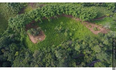 Venta de finca de 16 hectáreas en Minca-Vía Pozo Azul
