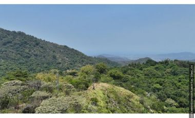 Venta de finca de 16 hectáreas en Minca-Vía Pozo Azul