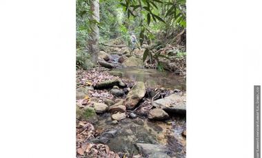 Venta de finca de 16 hectáreas en Minca-Vía Pozo Azul