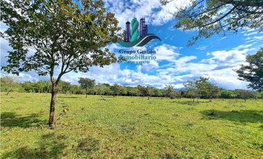 VENDO.FINCA DE 8Ha TOPOGRAFIA PLANA CON QUEBRADA DE AGUA VIVA