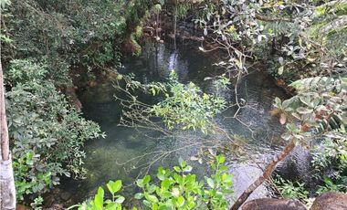 VENDO.FINCA DE 8Ha TOPOGRAFIA PLANA CON QUEBRADA DE AGUA VIVA