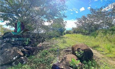VENDO.FINCA DE 8Ha TOPOGRAFIA PLANA CON QUEBRADA DE AGUA VIVA