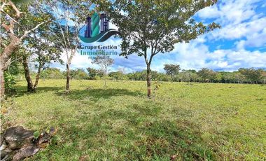 VENDO.FINCA DE 8Ha TOPOGRAFIA PLANA CON QUEBRADA DE AGUA VIVA