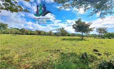 VENDO.FINCA DE 8Ha TOPOGRAFIA PLANA CON QUEBRADA DE AGUA VIVA