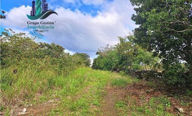 VENDO.FINCA DE 8Ha TOPOGRAFIA PLANA CON QUEBRADA DE AGUA VIVA