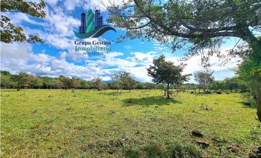 VENDO.FINCA DE 8Ha TOPOGRAFIA PLANA CON QUEBRADA DE AGUA VIVA