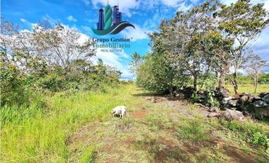 VENDO.FINCA DE 8Ha TOPOGRAFIA PLANA CON QUEBRADA DE AGUA VIVA