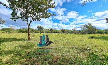 VENDO.FINCA DE 8Ha TOPOGRAFIA PLANA CON QUEBRADA DE AGUA VIVA