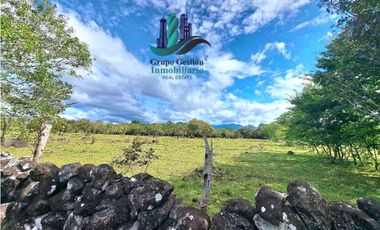 VENDO.FINCA DE 8Ha TOPOGRAFIA PLANA CON QUEBRADA DE AGUA VIVA