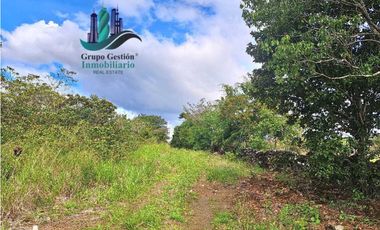 VENDO.FINCA DE 8Ha TOPOGRAFIA PLANA CON QUEBRADA DE AGUA VIVA