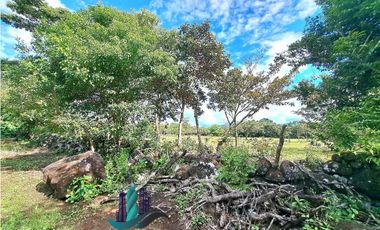 VENDO.FINCA DE 8Ha TOPOGRAFIA PLANA CON QUEBRADA DE AGUA VIVA