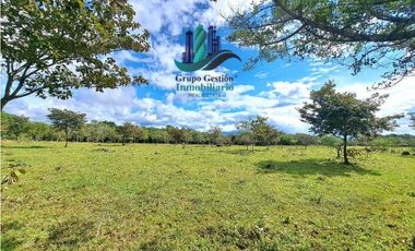 VENDO.FINCA DE 8Ha TOPOGRAFIA PLANA CON QUEBRADA DE AGUA VIVA