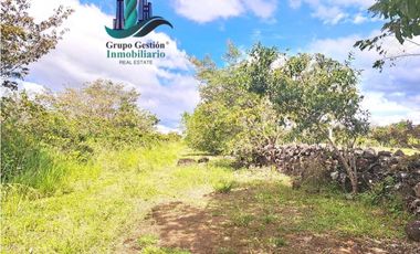 VENDO.FINCA DE 8Ha TOPOGRAFIA PLANA CON QUEBRADA DE AGUA VIVA