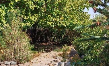 Casa en arriendo en INDEPENDENCIA