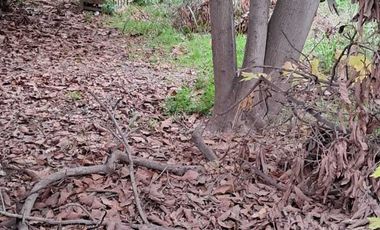 Casa en venta en BUIN