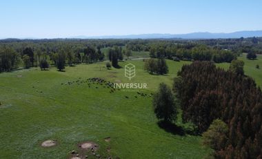 Parcela en venta en LAGO RANCO