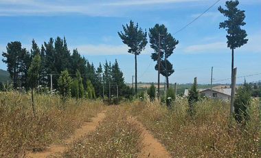 Casa en venta en FLORIDA