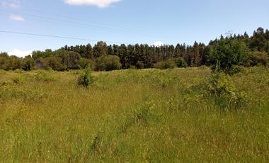 LINDAS PARCELAS  A  MINUTOS DEL CENTRO DE VILLARICA CON ROL