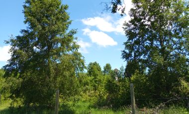 LINDAS PARCELAS  A  MINUTOS DEL CENTRO DE VILLARICA CON ROL