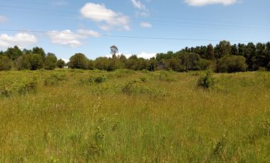 LINDAS PARCELAS  A  MINUTOS DEL CENTRO DE VILLARICA CON ROL