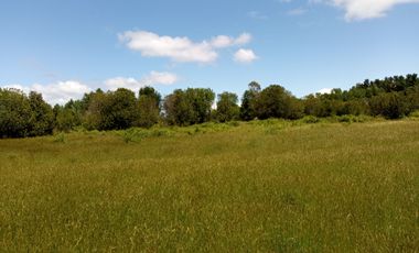 LINDAS PARCELAS  A  MINUTOS DEL CENTRO DE VILLARICA CON ROL