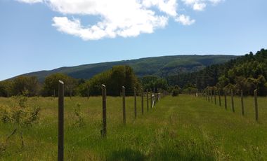LINDAS PARCELAS  A  MINUTOS DEL CENTRO DE VILLARICA CON ROL