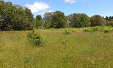 LINDAS PARCELAS  A  MINUTOS DEL CENTRO DE VILLARICA CON ROL