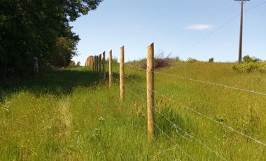 LINDAS PARCELAS  A  MINUTOS DEL CENTRO DE VILLARICA CON ROL