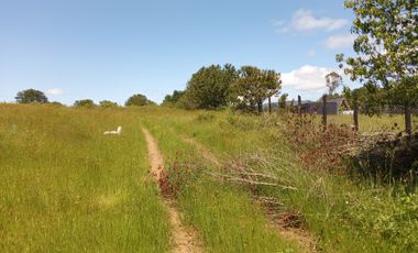 LINDAS PARCELAS  A  MINUTOS DEL CENTRO DE VILLARICA CON ROL