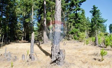 Excelente Parcela de 1 Hectárea en Laguna Verde