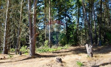 Excelente Parcela de 1 Hectárea en Laguna Verde